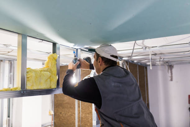 Best Local Insulation Services  in Kyle, TX