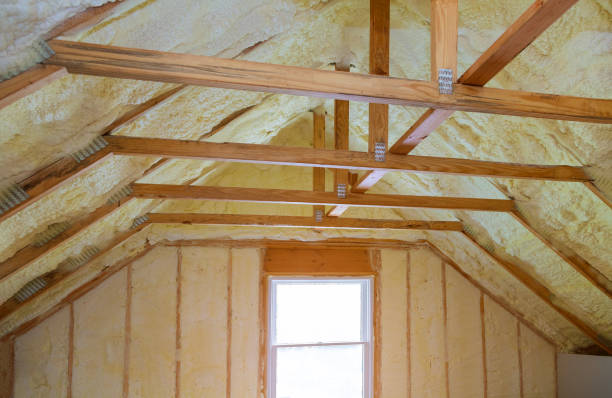 Best Insulation Removal  in Kyle, TX