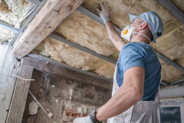 Best Insulation Removal  in Kyle, TX