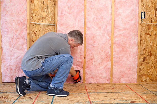 Best Spray Foam Insulation  in Kyle, TX