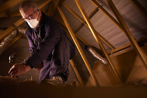 Best Insulation Inspection Services  in Kyle, TX